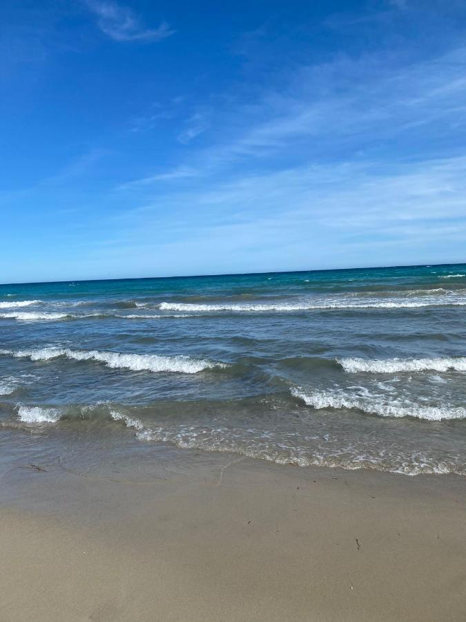 Pension El Dorado Alicante Dış mekan fotoğraf